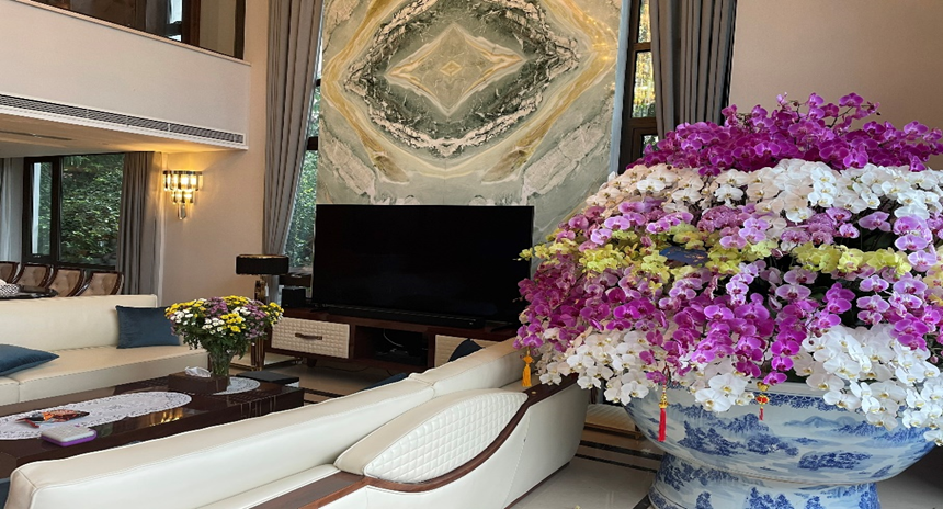 Biệt thự thông minh Tây Hồ - Từ Hoa - TP Hà Nội